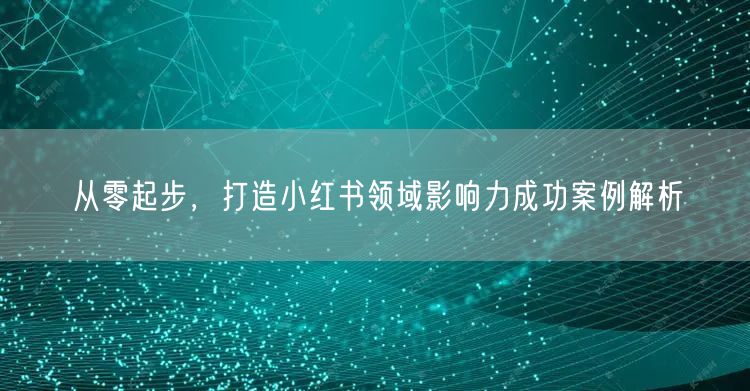 从零起步,打造小红书领域影响力成功案例解析