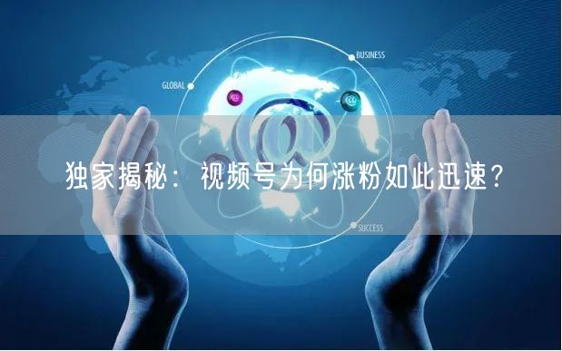 独家揭秘:视频号为何涨粉如此迅速?