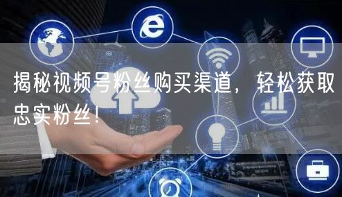 揭秘视频号粉丝购买渠道,轻松获取忠实粉丝!