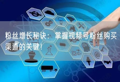 粉丝增长秘诀:掌握视频号粉丝购买渠道的关键!