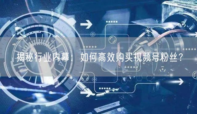揭秘行业内幕:如何高效购买视频号粉丝?