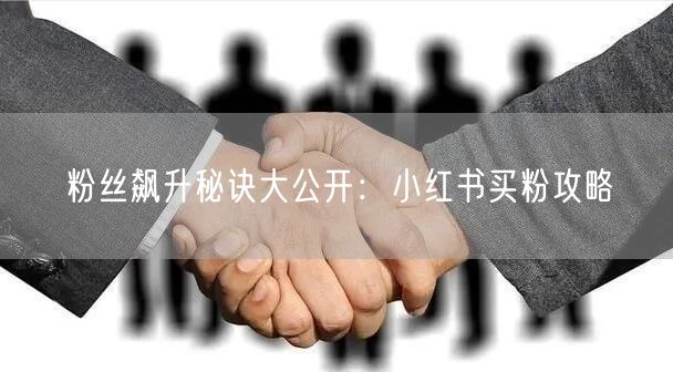 粉丝飙升秘诀大公开：小红书买粉攻略