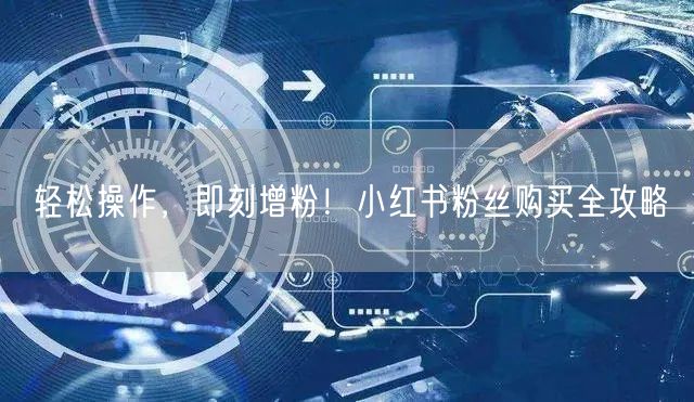 轻松操作，即刻增粉！小红书粉丝购买全攻略