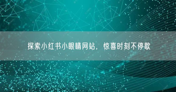 探索小红书小眼睛网站，惊喜时刻不停歇