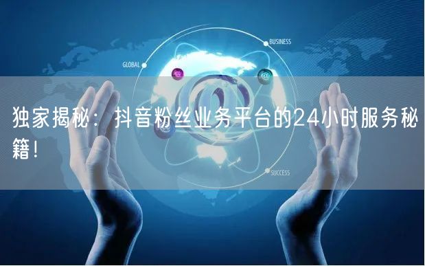 独家揭秘：抖音粉丝业务平台的24小时服务秘籍！