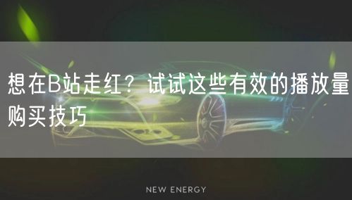想在B站走红？试试这些有效的播放量购买技巧