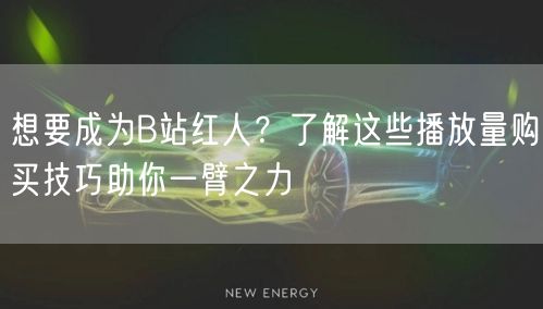 想要成为B站红人？了解这些播放量购买技巧助你一臂之力