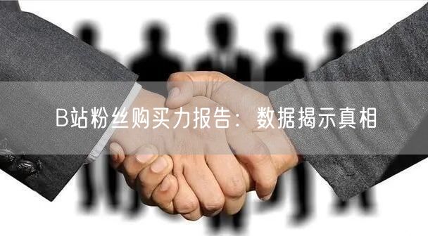 B站粉丝购买力报告：数据揭示真相