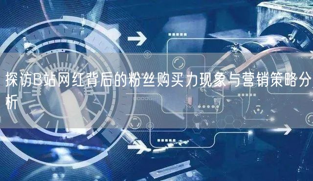 探访B站网红背后的粉丝购买力现象与营销策略分析