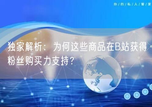 独家解析:为何这些商品在B站获得粉丝购买力支持?