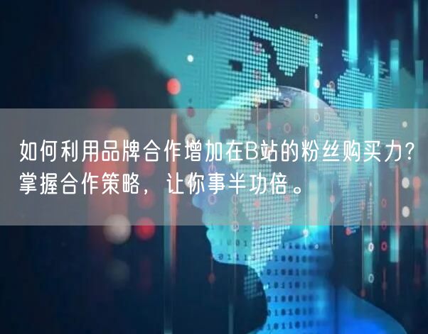 如何利用品牌合作增加在B站的粉丝购买力？掌握合作策略，让你事半功倍。