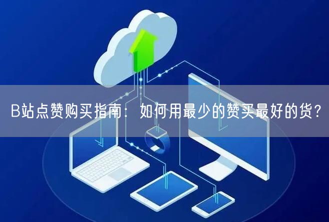 B站点赞购买指南:如何用最少的赞买最好的货?