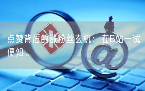 点赞背后的涨粉丝玄机:在B站一试便知。