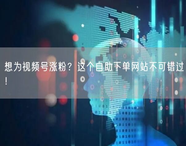 想为视频号涨粉?这个自助下单网站不可错过!