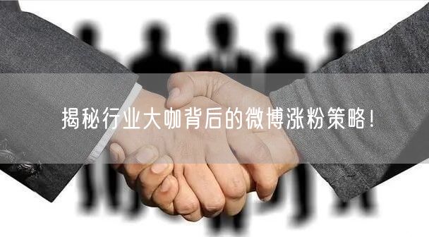 揭秘行业大咖背后的微博涨粉策略！